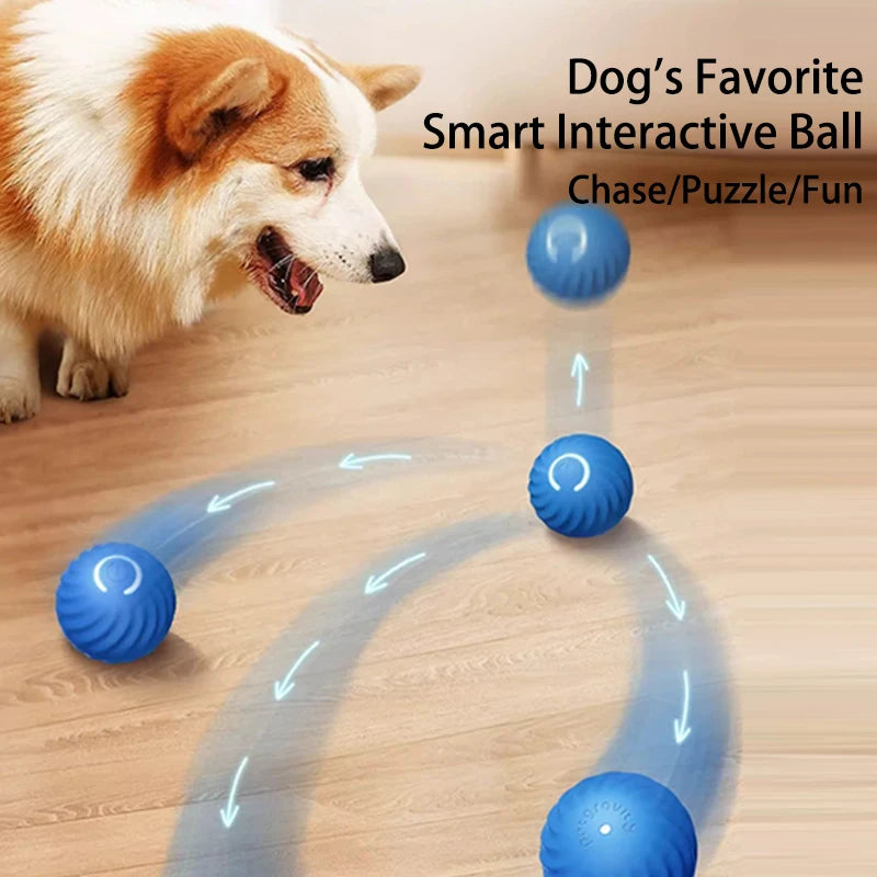 Petjoy-Interactive Dog Cat Toy Ball, Automatic Moving Bouncing Rolling Jump Ball for Puppy Entertainment & Exercise Fun, USB