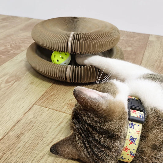 Magic Organ Foldable Cat Scratch Board Toy with Bell Cat Grinding Claw Cat Climbing Frame round Corrugated Cats Interactive Toys