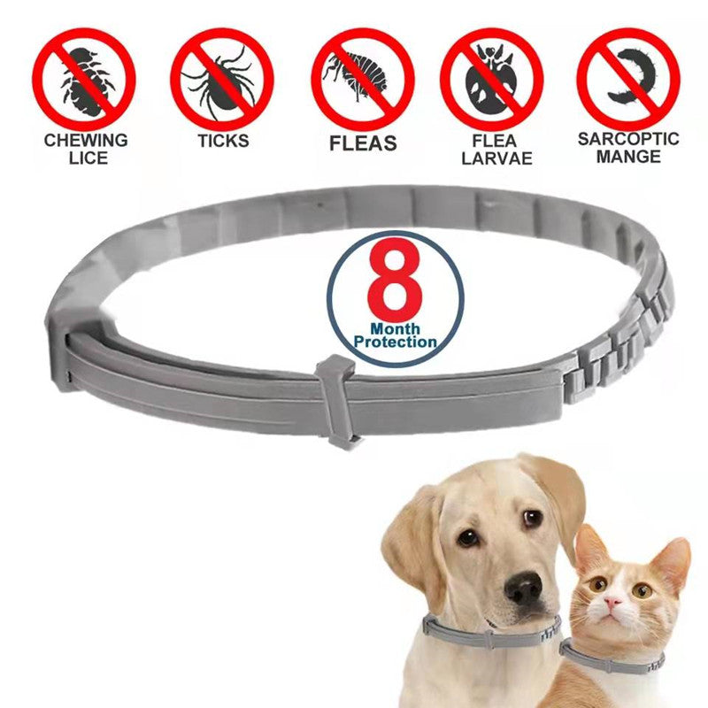 Dog anti Flea and Tick Collars,Pet 8Month Protection Adjustable Collar for Large Dog Puppy Cat, Dogs Accessories