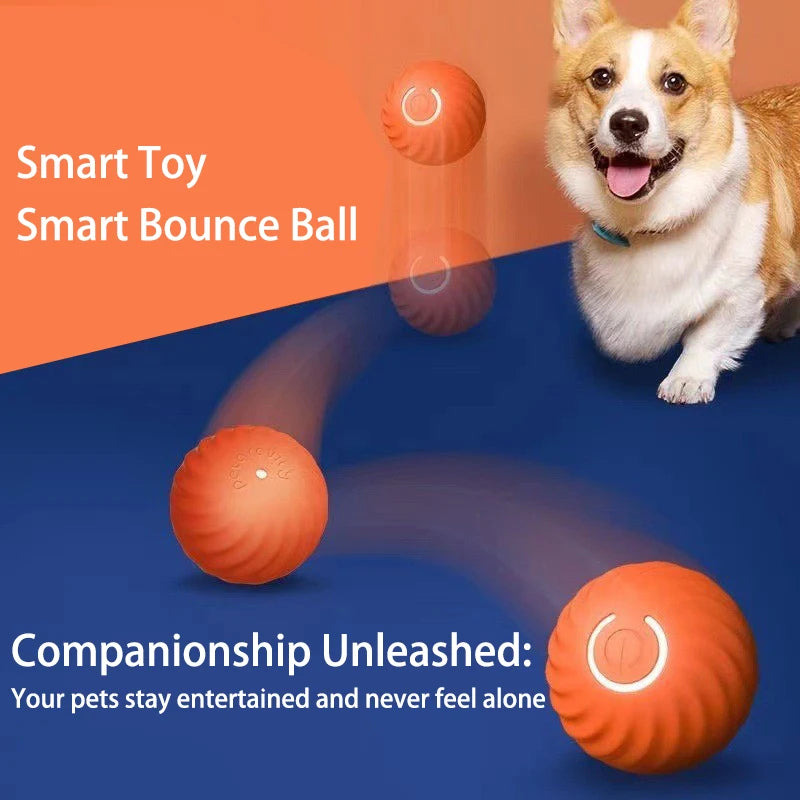 Petjoy-Interactive Dog Cat Toy Ball, Automatic Moving Bouncing Rolling Jump Ball for Puppy Entertainment & Exercise Fun, USB